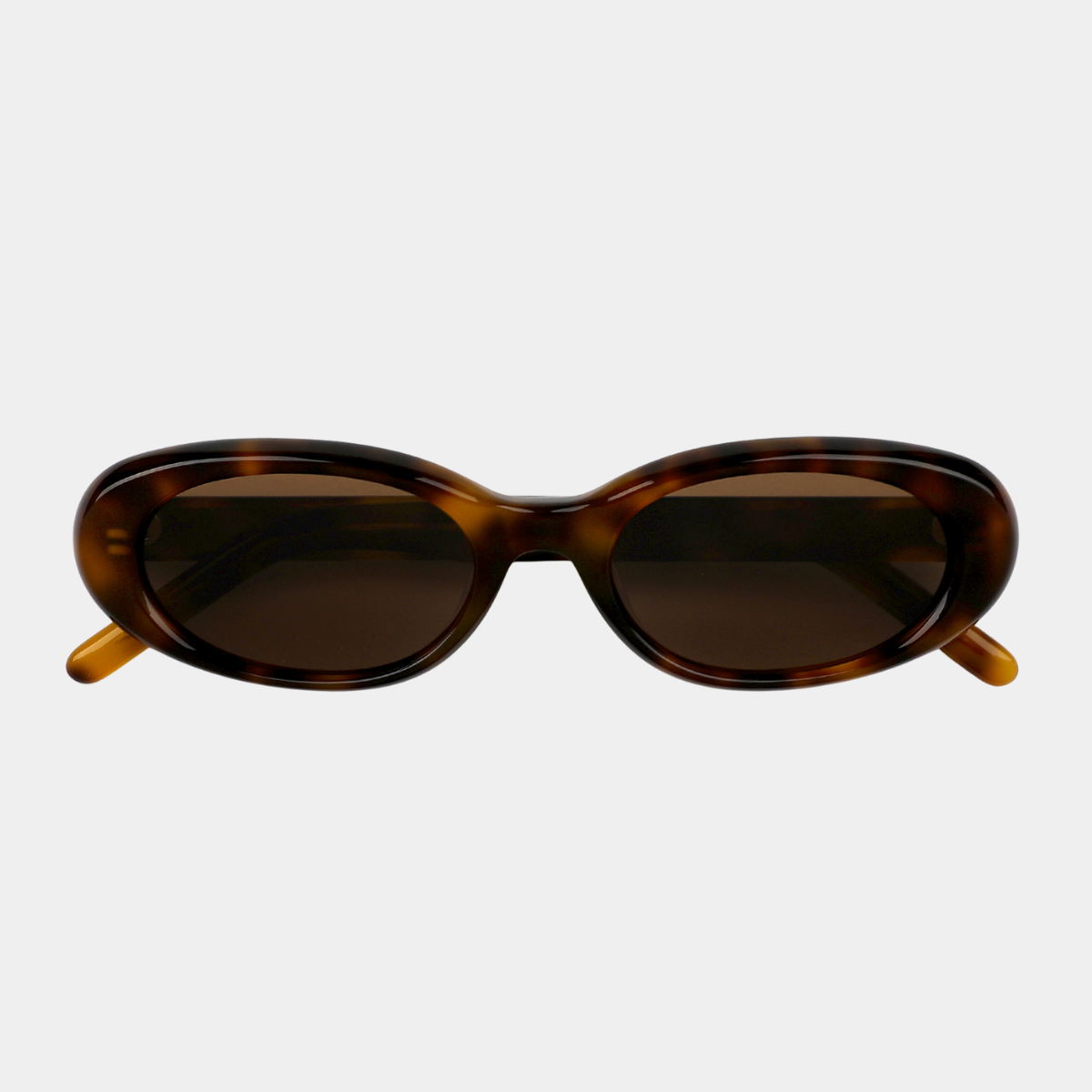 Zellia - Tortoise
